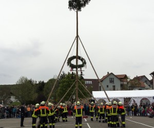 maibaum 2015