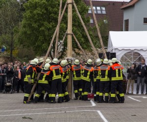maibaum 2015