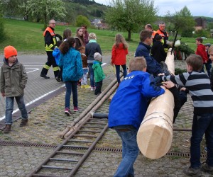 maibaum 2015