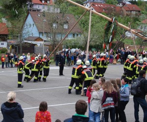 maibaum 2015