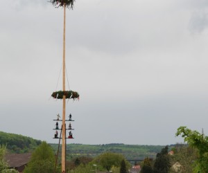 maibaum 2015