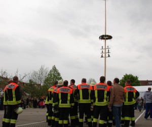 maibaum 2015