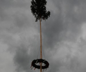 maibaum 2015