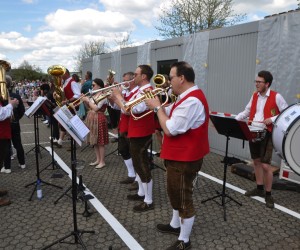 maibaum 300423