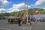 maibaum 300423