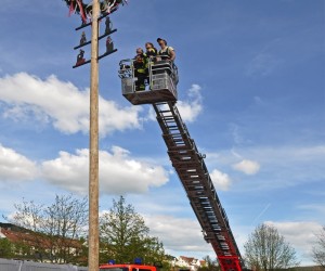 maibaum 300423