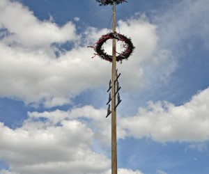 maibaum 300423